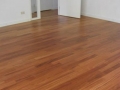Reparar Parquet 1